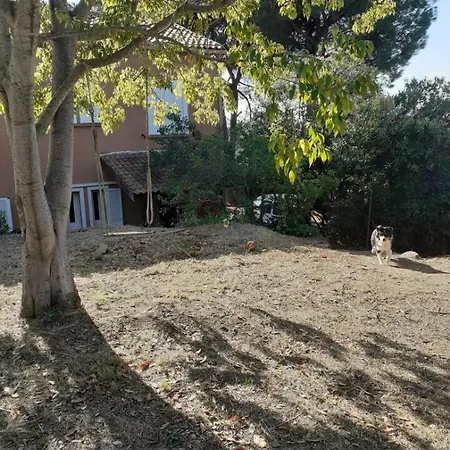 Διαμέρισμα T2 Alistro San Giuliano Corse *