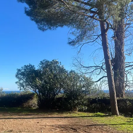 T2 Alistro San Giuliano Corse San-Giuliano