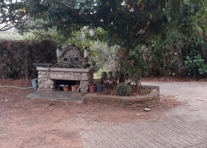 T2 Alistro San Giuliano Corse * San-Giuliano