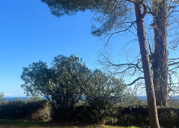 T2 Alistro San Giuliano Corse San-Giuliano